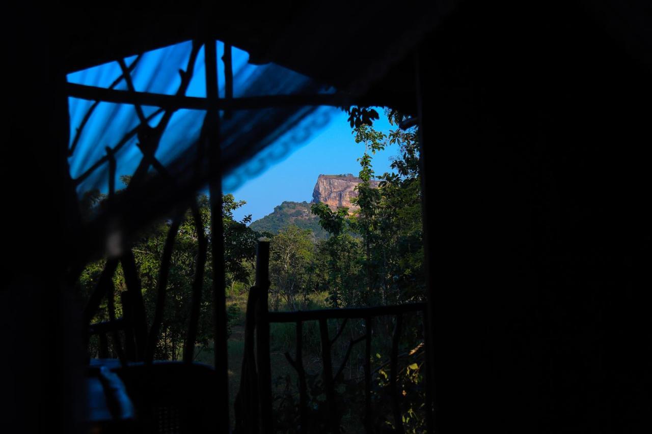 ホテル Sigiriya Rock Gate Tree House エクステリア 写真