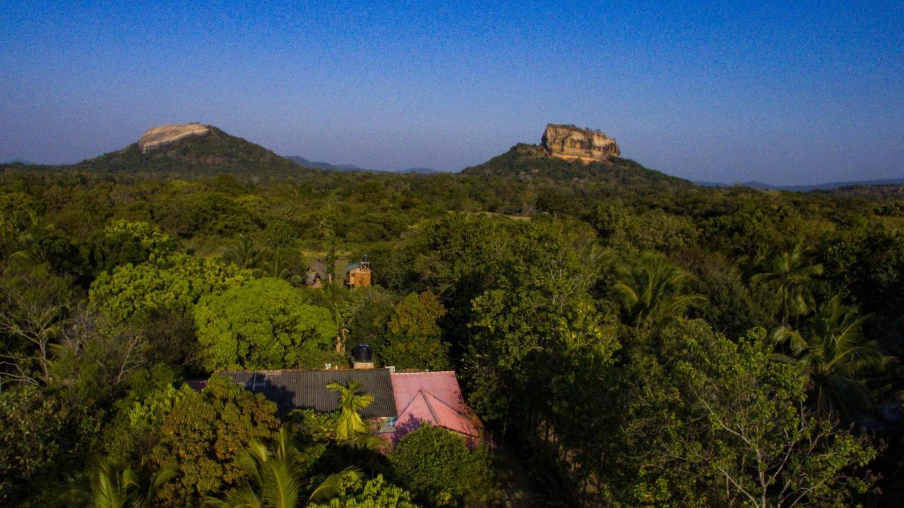 ホテル Sigiriya Rock Gate Tree House エクステリア 写真