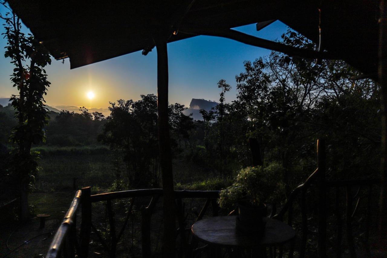 ホテル Sigiriya Rock Gate Tree House エクステリア 写真