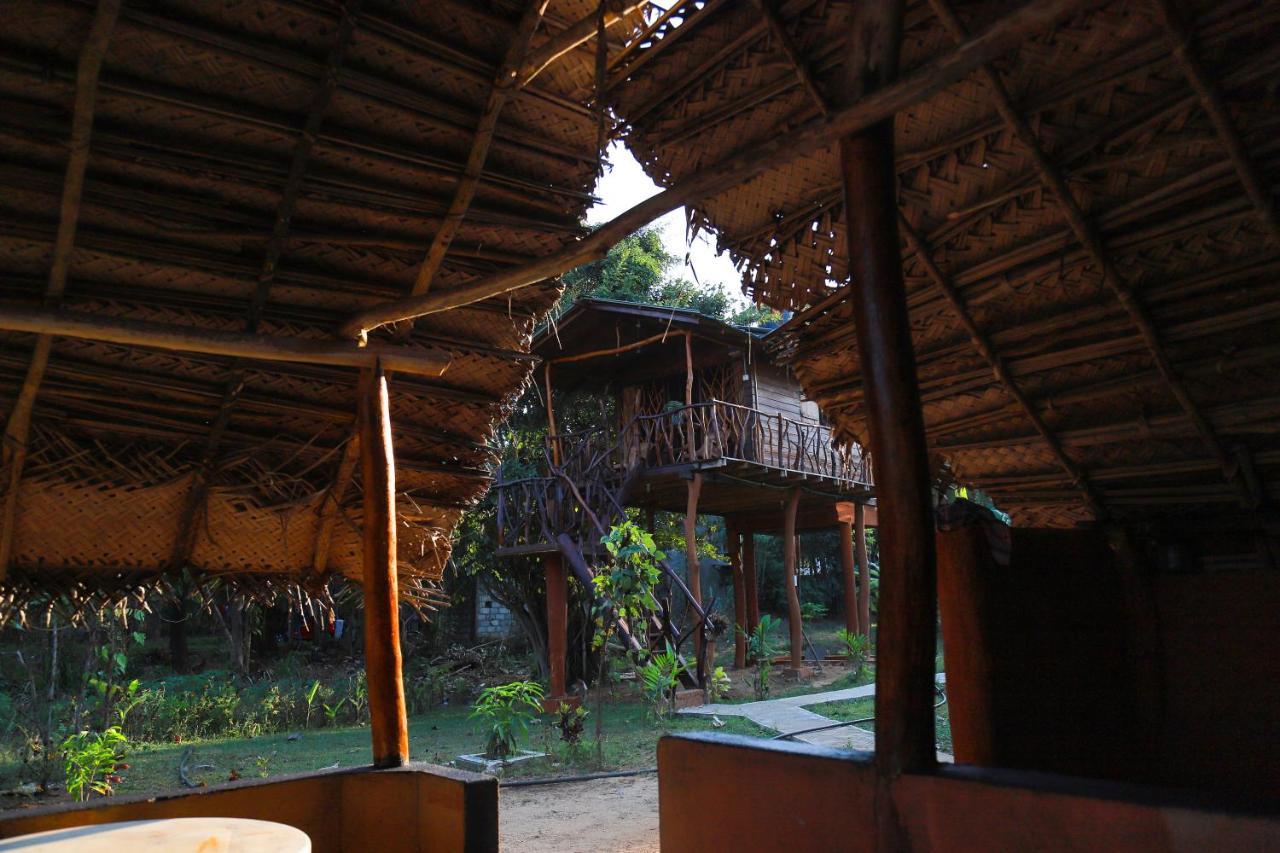 ホテル Sigiriya Rock Gate Tree House エクステリア 写真