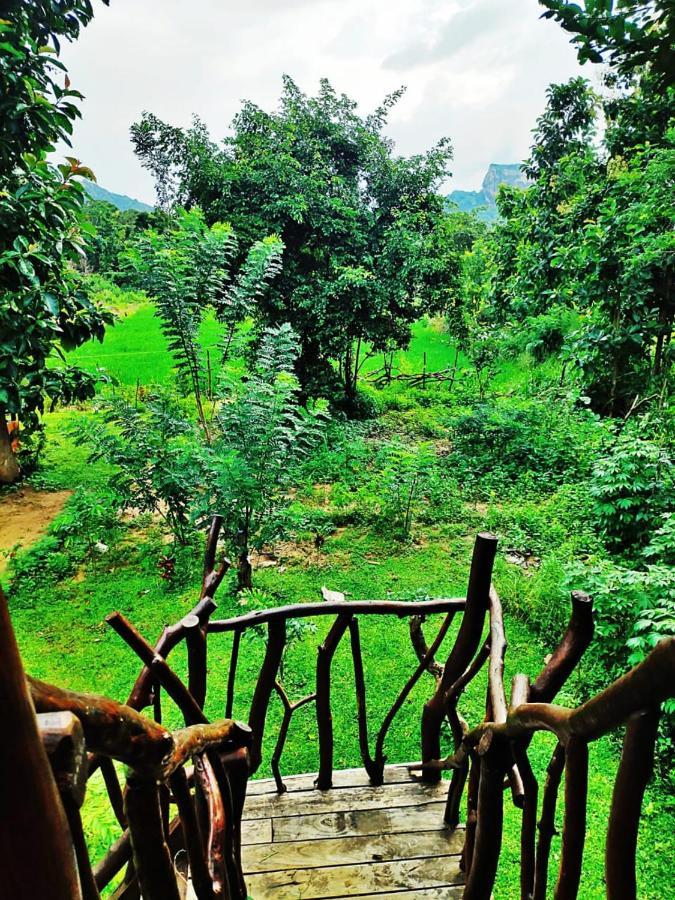 ホテル Sigiriya Rock Gate Tree House エクステリア 写真