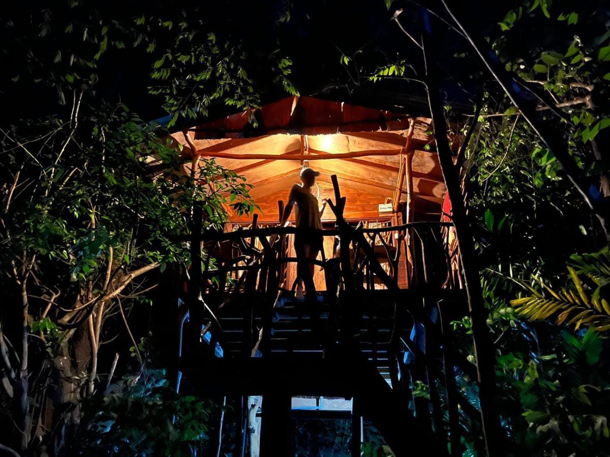 ホテル Sigiriya Rock Gate Tree House エクステリア 写真