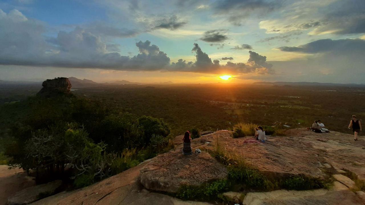 ホテル Sigiriya Rock Gate Tree House エクステリア 写真
