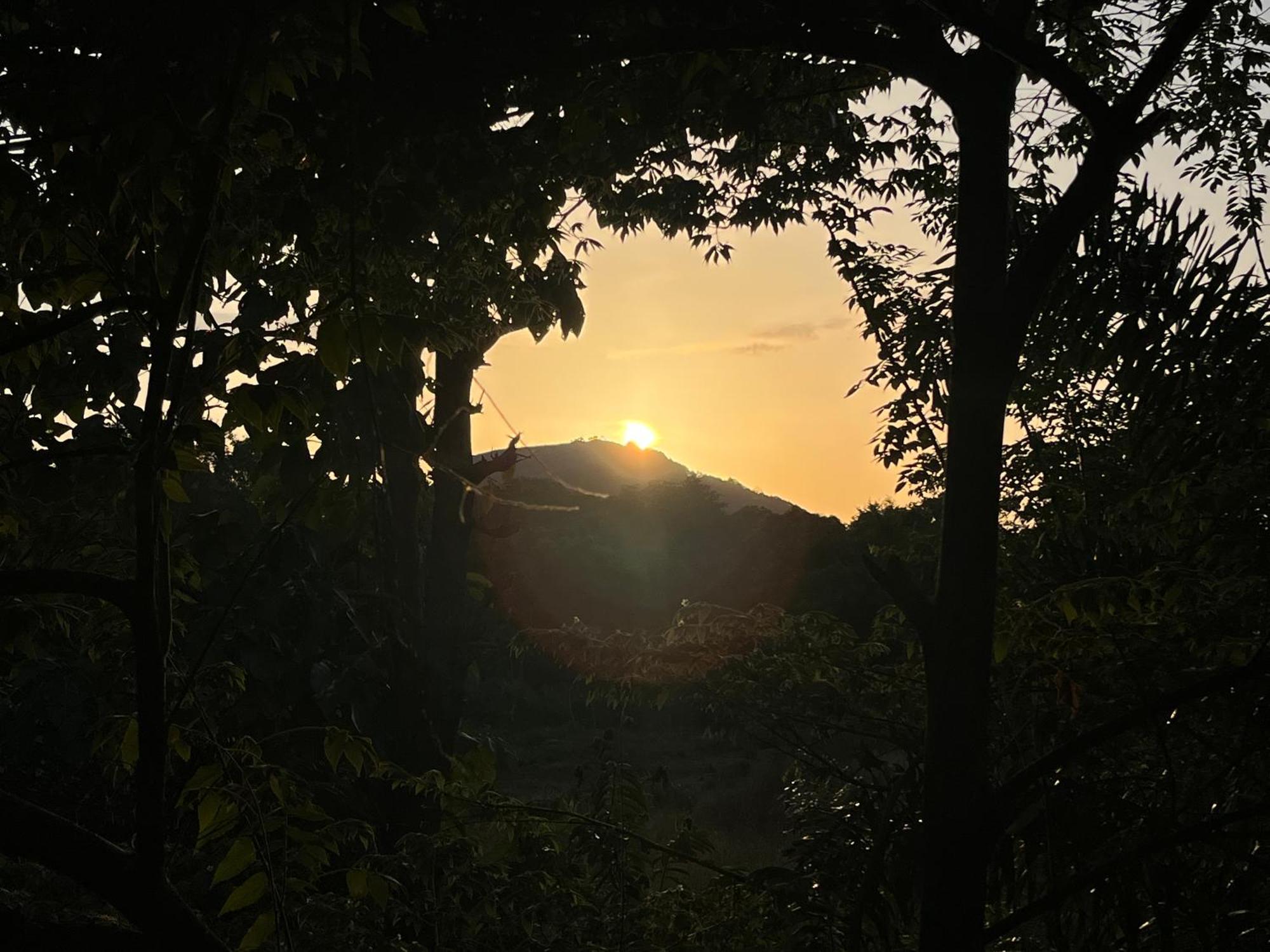 ホテル Sigiriya Rock Gate Tree House エクステリア 写真