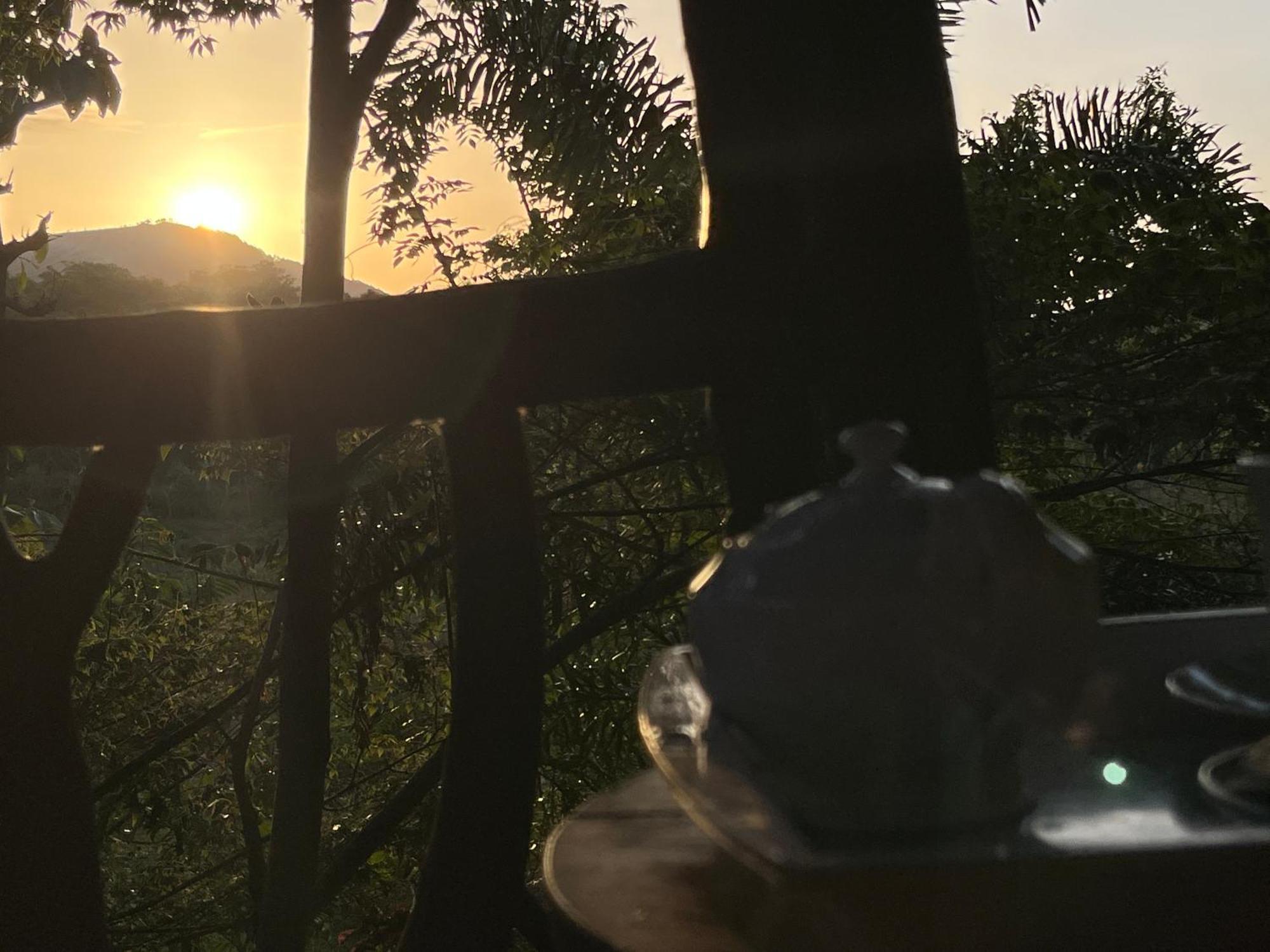 ホテル Sigiriya Rock Gate Tree House エクステリア 写真