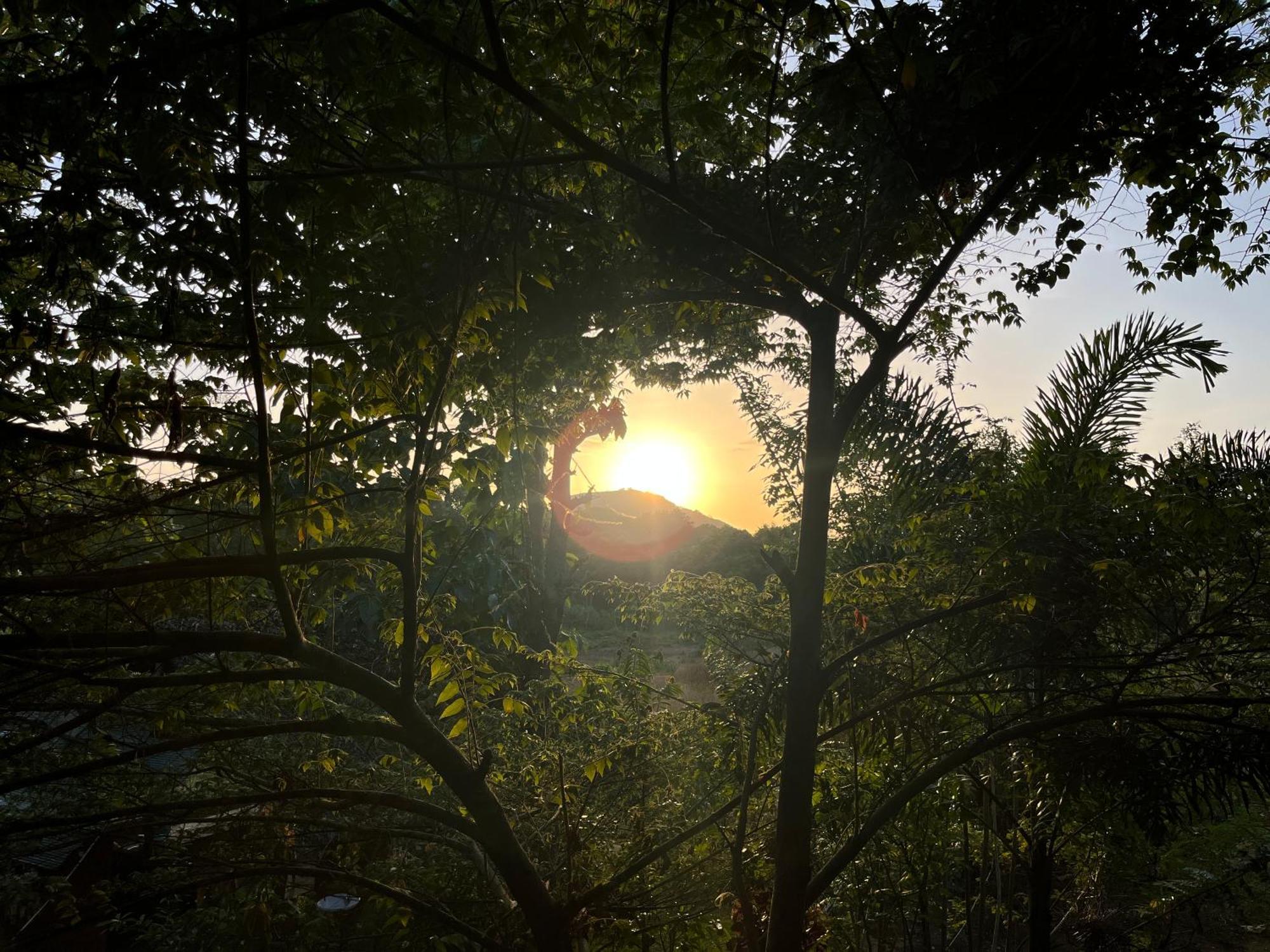 ホテル Sigiriya Rock Gate Tree House エクステリア 写真