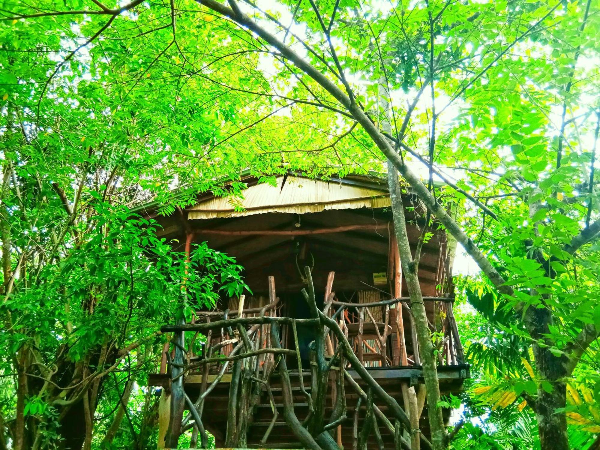 ホテル Sigiriya Rock Gate Tree House エクステリア 写真