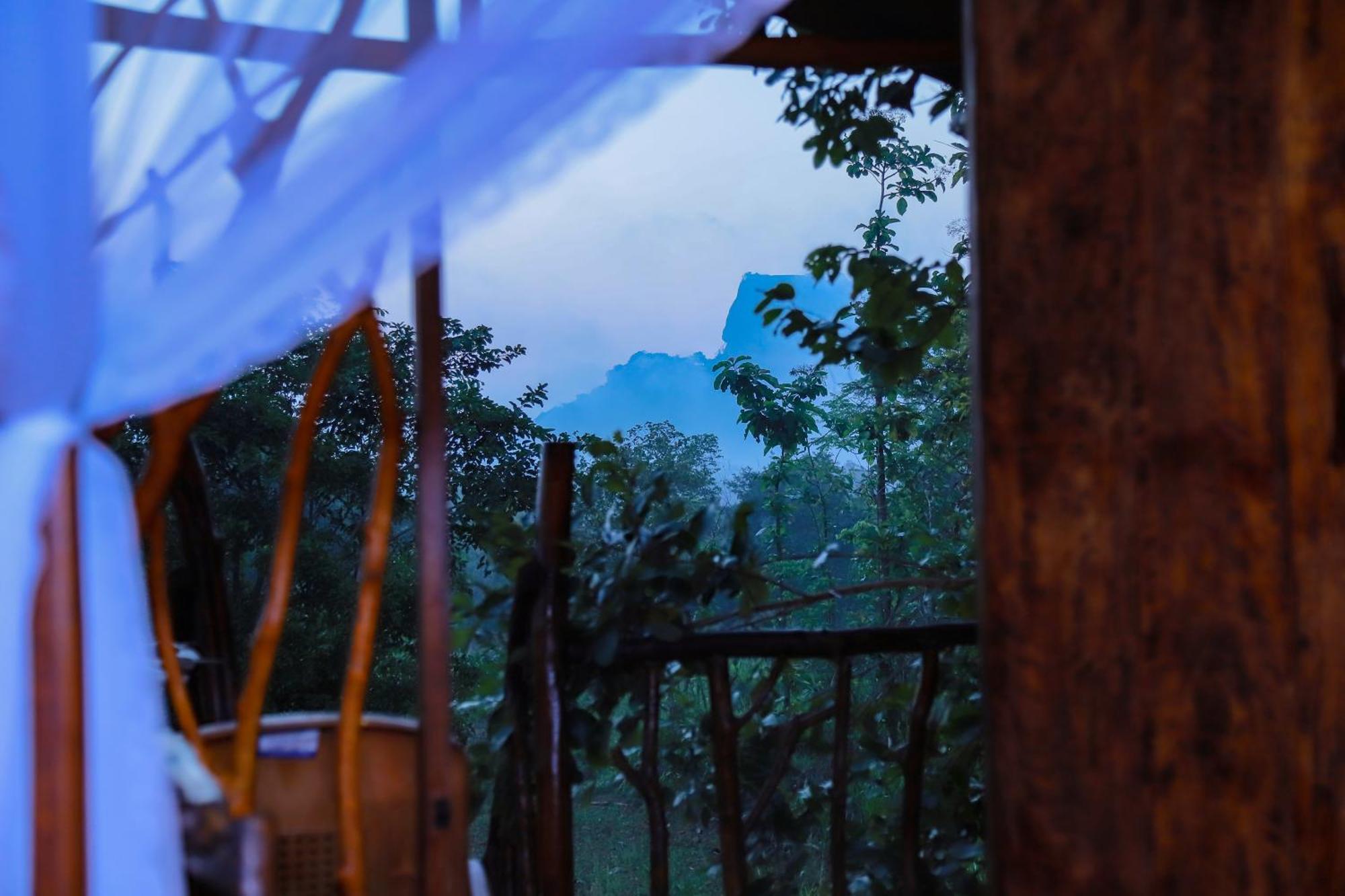 ホテル Sigiriya Rock Gate Tree House エクステリア 写真