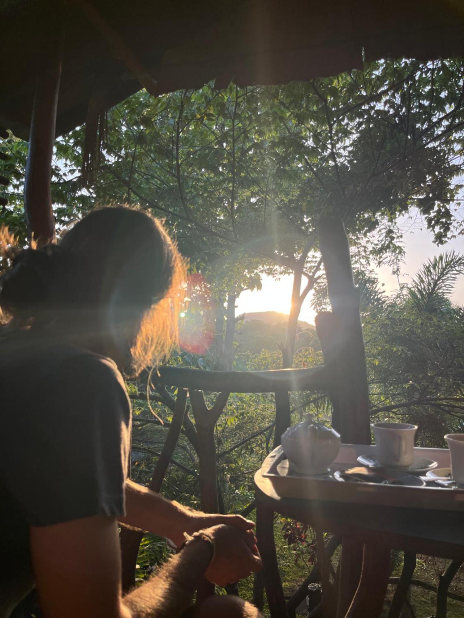 ホテル Sigiriya Rock Gate Tree House 部屋 写真