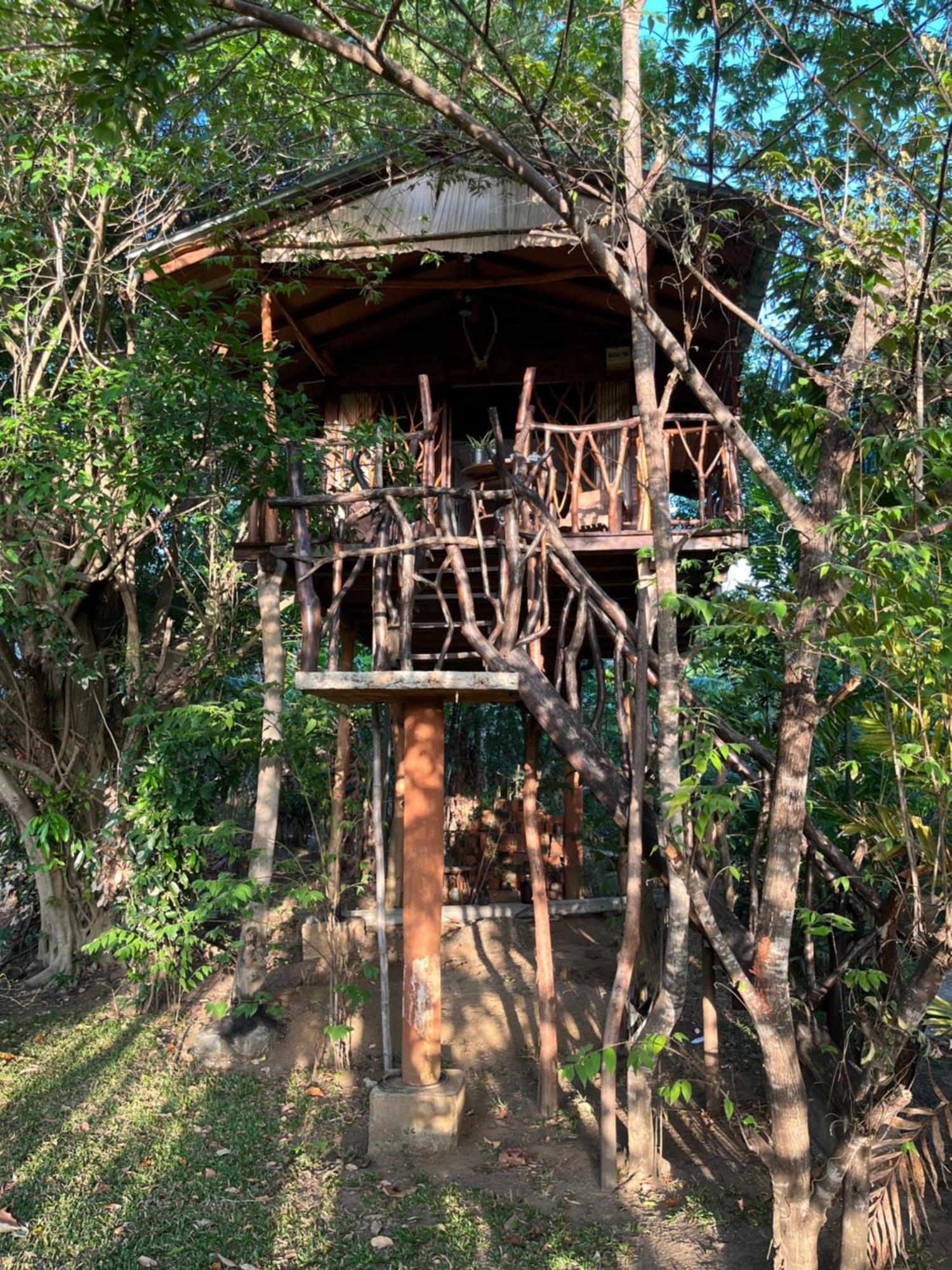 ホテル Sigiriya Rock Gate Tree House 部屋 写真